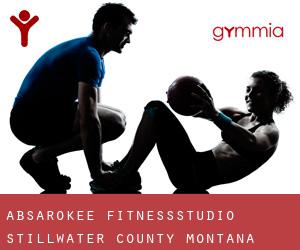 Absarokee fitnessstudio (Stillwater County, Montana)