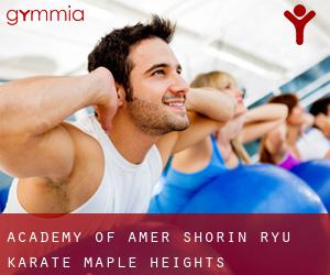 Academy of Amer Shorin-Ryu Karate (Maple Heights)