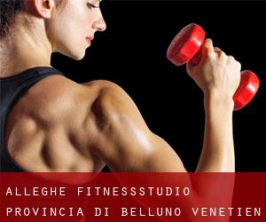 Alleghe fitnessstudio (Provincia di Belluno, Venetien)