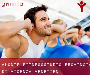 Alonte fitnessstudio (Provincia di Vicenza, Venetien)