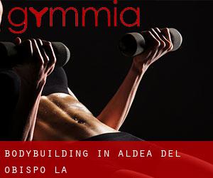 BodyBuilding in Aldea del Obispo (La)