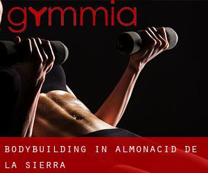 BodyBuilding in Almonacid de la Sierra