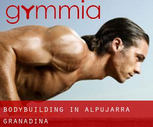 BodyBuilding in Alpujarra Granadina