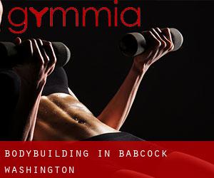 BodyBuilding in Babcock (Washington)