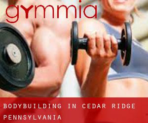 BodyBuilding in Cedar Ridge (Pennsylvania)