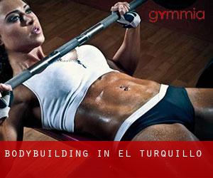 BodyBuilding in El Turquillo