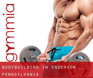 BodyBuilding in Endeavor (Pennsylvania)