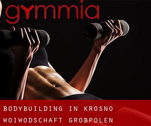 BodyBuilding in Krosno (Woiwodschaft Großpolen)