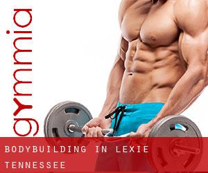 BodyBuilding in Lexie (Tennessee)