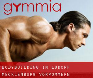 BodyBuilding in Ludorf (Mecklenburg-Vorpommern)