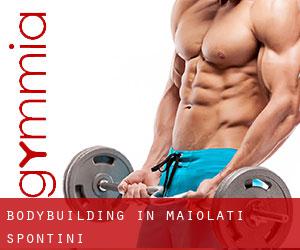BodyBuilding in Maiolati Spontini