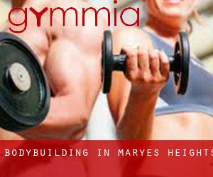 BodyBuilding in Maryes Heights