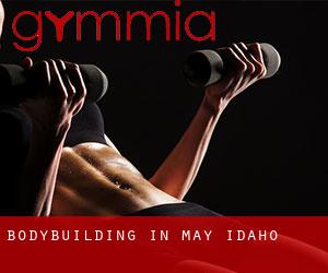 BodyBuilding in May (Idaho)