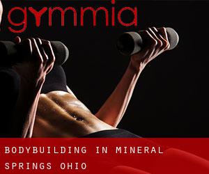 BodyBuilding in Mineral Springs (Ohio)