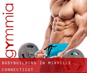 BodyBuilding in Mixville (Connecticut)
