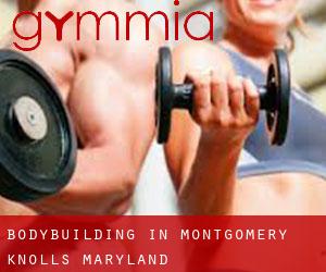 BodyBuilding in Montgomery Knolls (Maryland)
