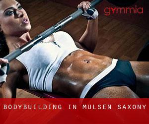 BodyBuilding in Mülsen (Saxony)