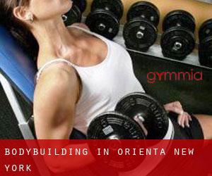 BodyBuilding in Orienta (New York)