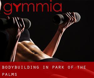 BodyBuilding in Park of the Palms