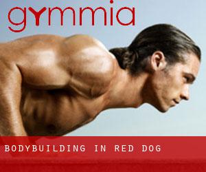 BodyBuilding in Red Dog
