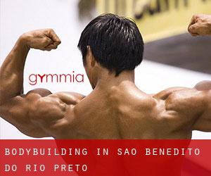 BodyBuilding in São Benedito do Rio Preto
