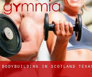 BodyBuilding in Scotland (Texas)