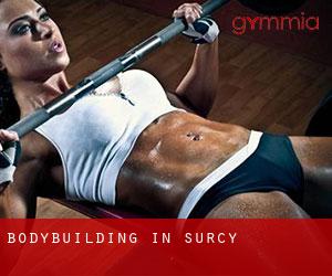 BodyBuilding in Surcy