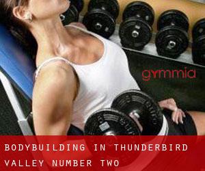 BodyBuilding in Thunderbird Valley Number Two