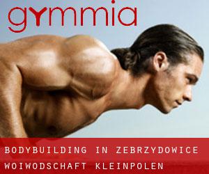 BodyBuilding in Zebrzydowice (Woiwodschaft Kleinpolen)