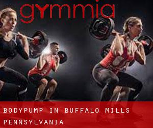 BodyPump in Buffalo Mills (Pennsylvania)