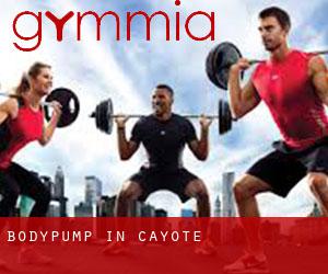 BodyPump in Cayote