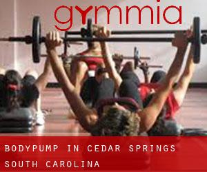 BodyPump in Cedar Springs (South Carolina)