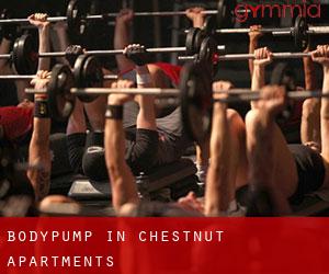 BodyPump in Chestnut Apartments