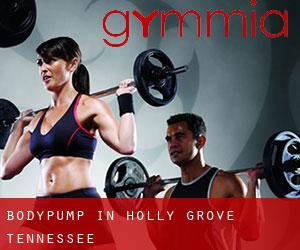 BodyPump in Holly Grove (Tennessee)