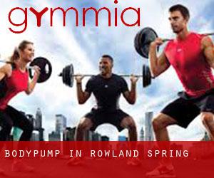 BodyPump in Rowland Spring