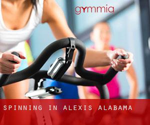 Spinning in Alexis (Alabama)