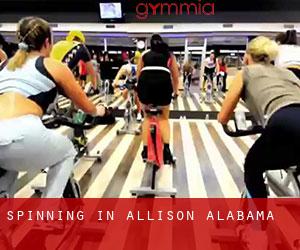 Spinning in Allison (Alabama)