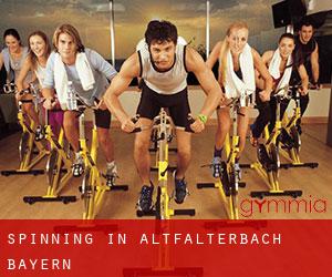Spinning in Altfalterbach (Bayern)