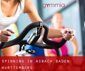 Spinning in Asbach (Baden-Württemberg)