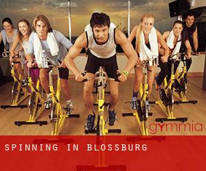 Spinning in Blossburg