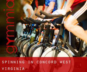 Spinning in Concord (West Virginia)