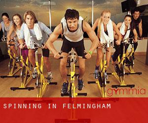 Spinning in Felmingham