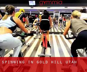 Spinning in Gold Hill (Utah)