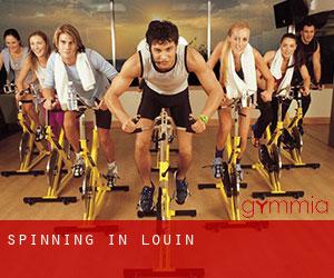 Spinning in Louin
