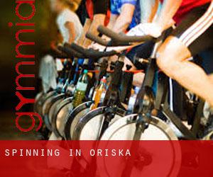 Spinning in Oriska