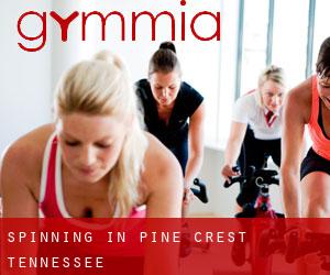 Spinning in Pine Crest (Tennessee)
