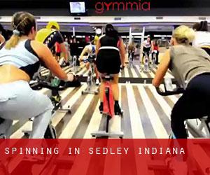 Spinning in Sedley (Indiana)