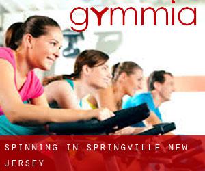 Spinning in Springville (New Jersey)