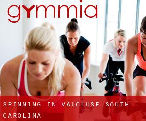 Spinning in Vaucluse (South Carolina)