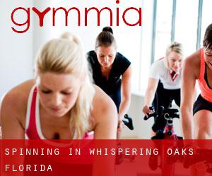 Spinning in Whispering Oaks (Florida)